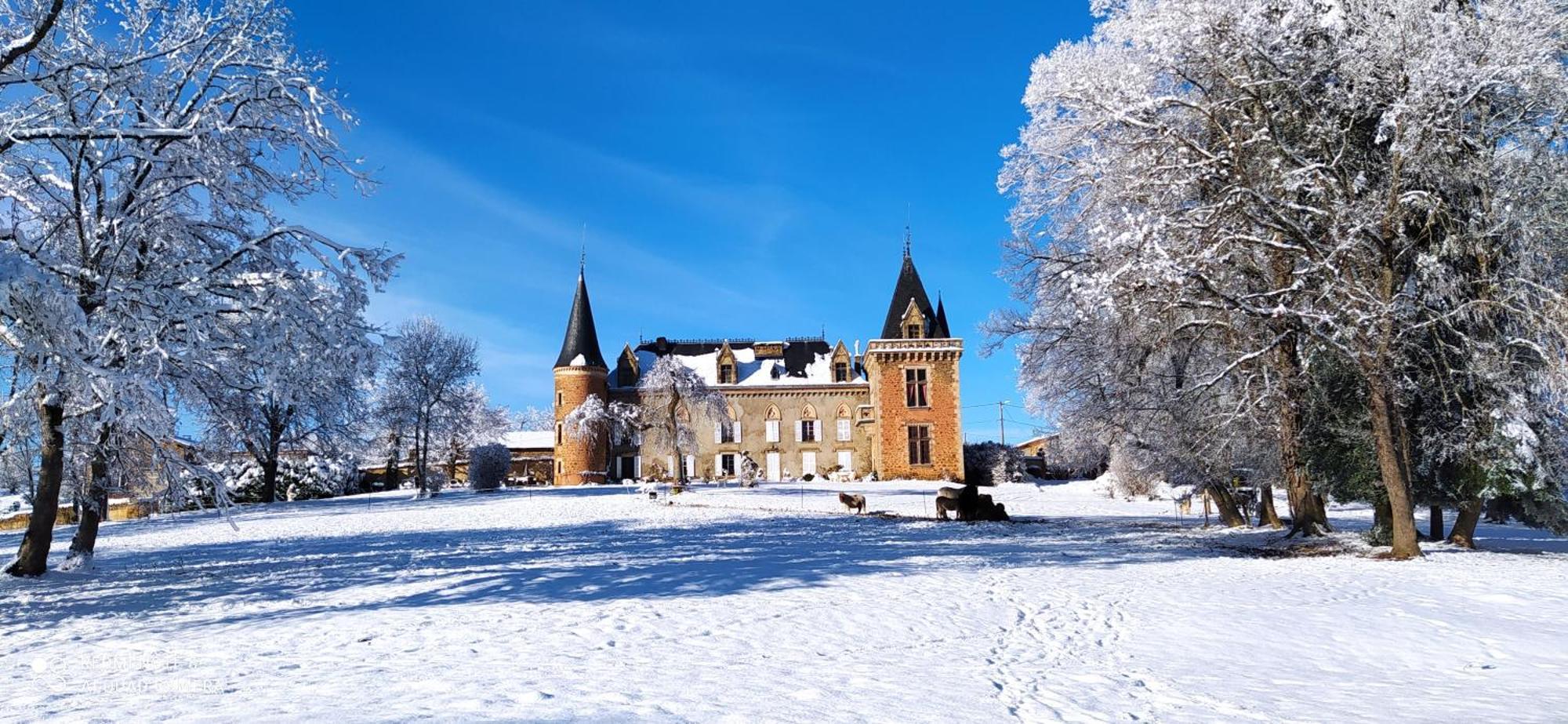 Chateau De La Forie Saint-Etienne-sur-Usson Екстериор снимка